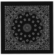 Hot Leathers BAP1001 Classic Black and White Paisley Bandana