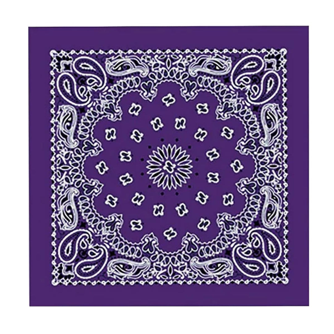Hot Leathers BAP1002 Classic Purple Paisley Bandana