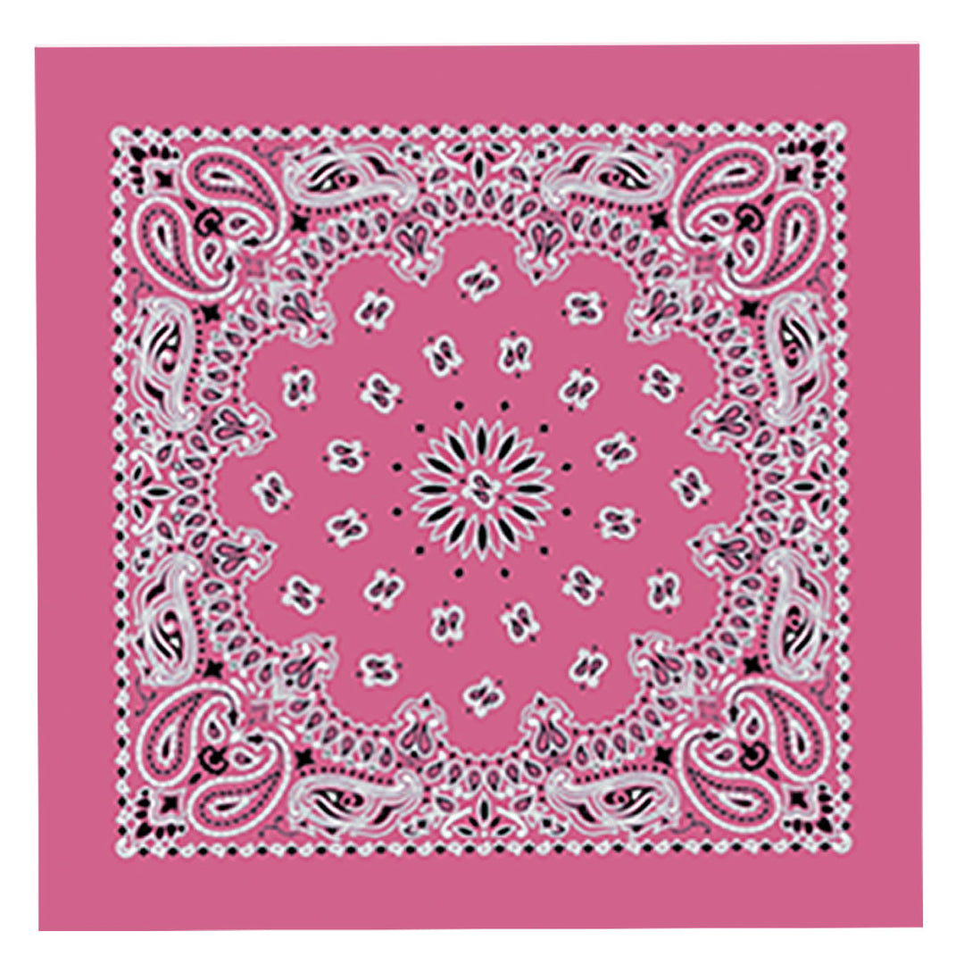 Hot Leathers BAP1007 Classic Hot Pink Paisley Bandana