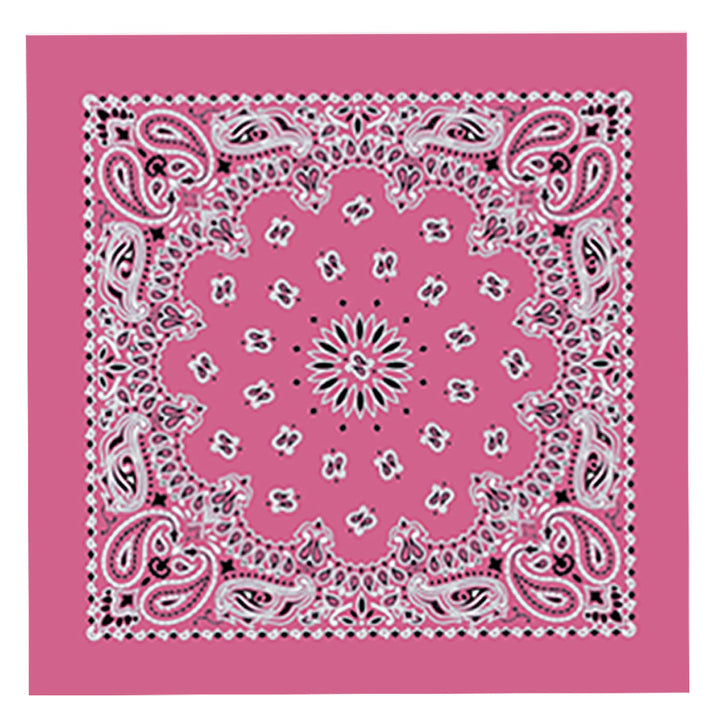 Hot Leathers BAP1007 Classic Hot Pink Paisley Bandana
