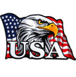 Hot Leathers PPA8010 American Flag Eagle Head 4